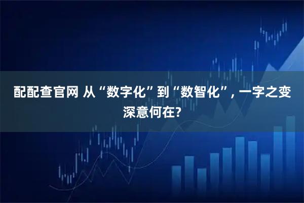 配配查官网 从“数字化”到“数智化”, 一字之变深意何在?