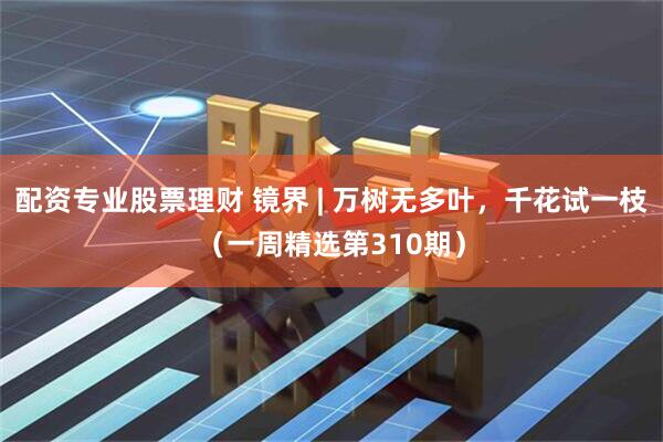 配资专业股票理财 镜界 | 万树无多叶，千花试一枝（一周精选第310期）
